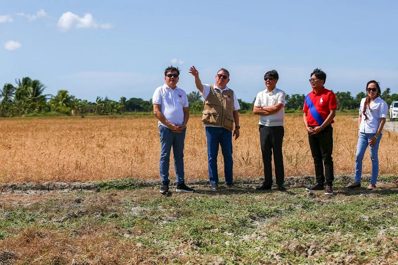 Marcos: PH rice supply enough despite El Niño