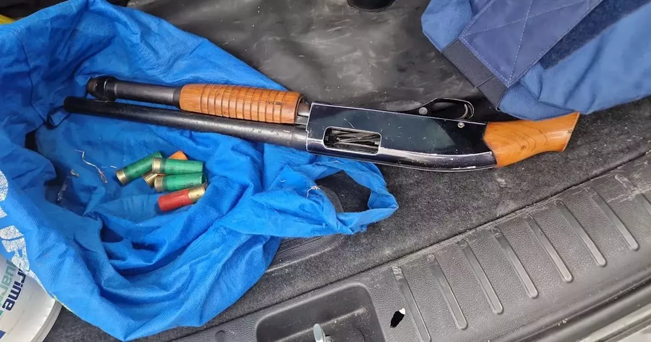 Garda probe as shotgun seized twice - in separate investigations