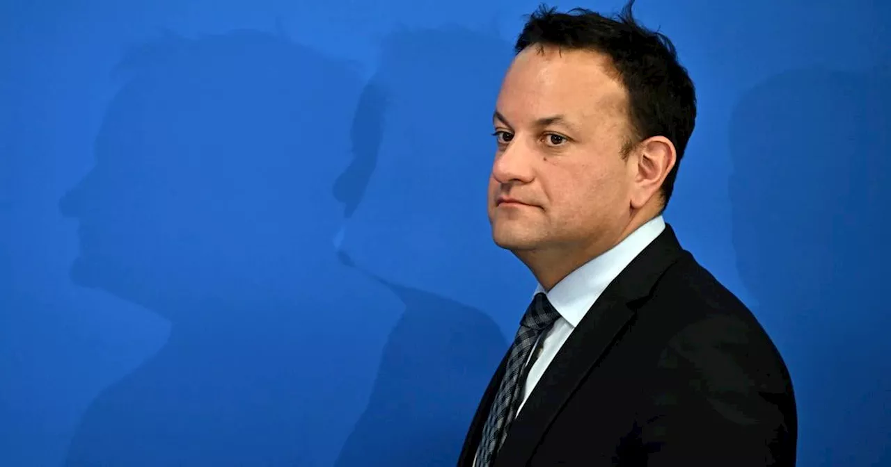 Leo Varadkar did not push hard enough for beds for asylum seekers, says Green Party Minister