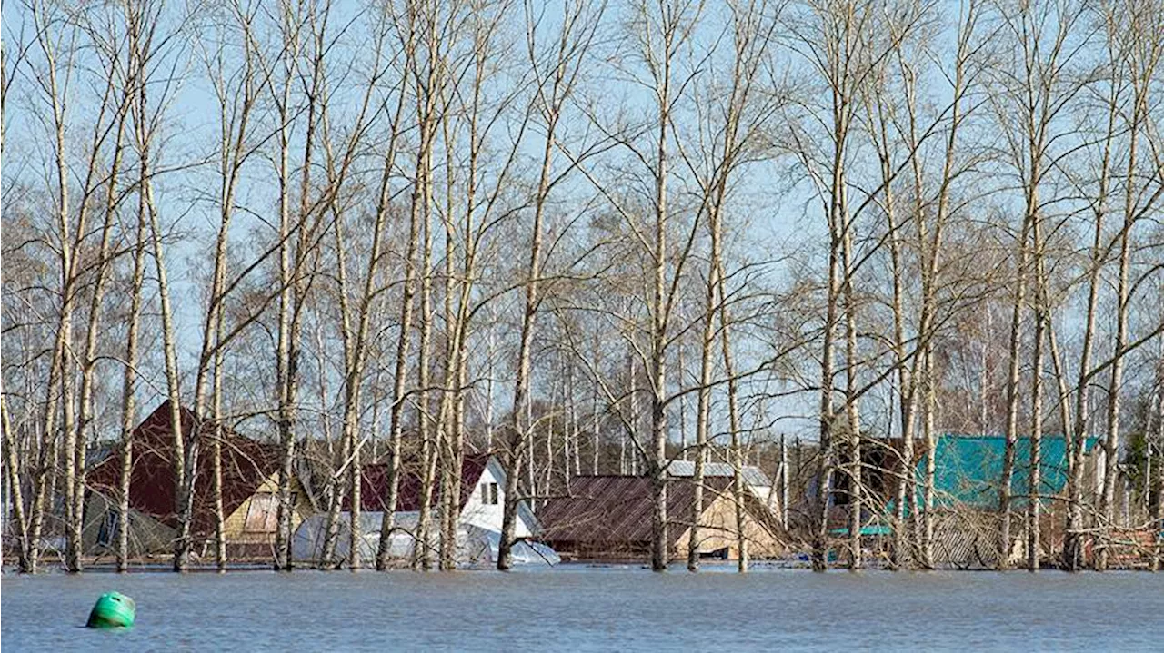 В трех населенных пунктах Тюменской области объявили эвакуацию из-за паводка