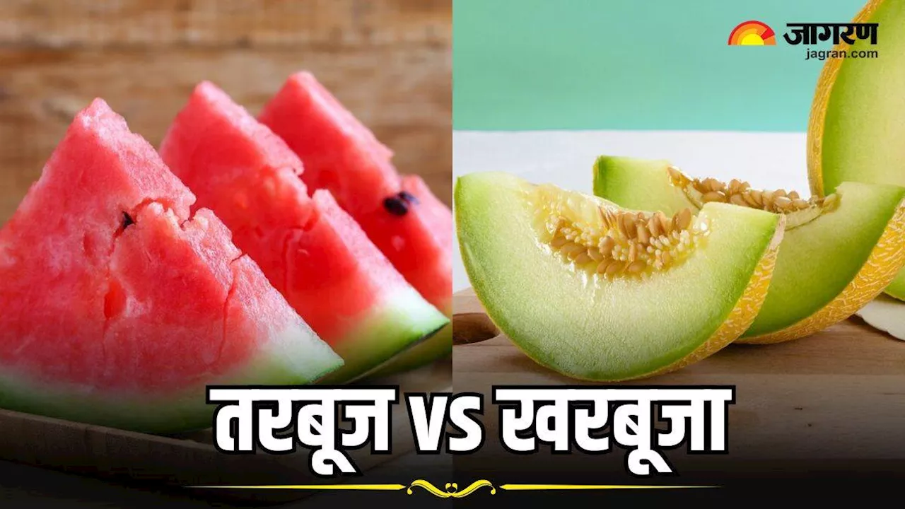 Watermelon vs Muskmelon: तरबूज खाएं या खरबूजा, गर्मियों में सेहत के लिए क्या है ज्यादा अच्छा?