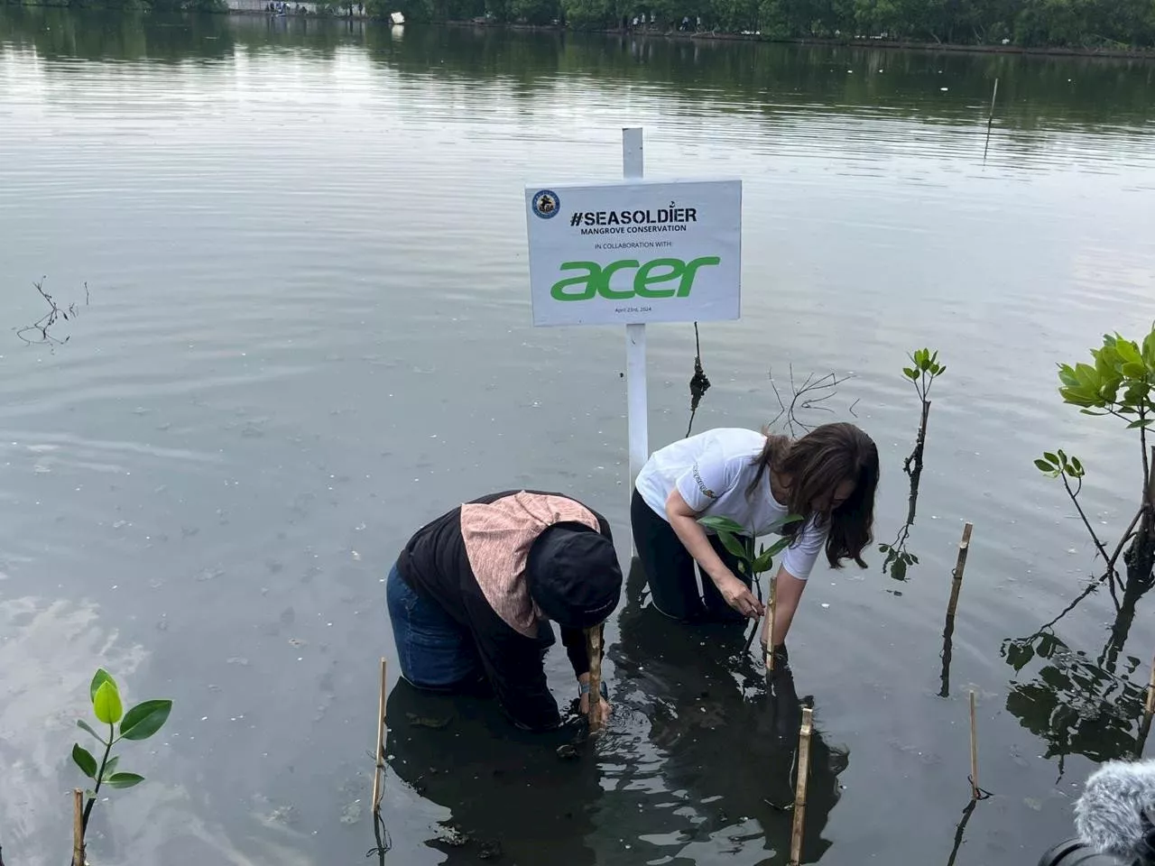 Hari Bumi, Acer Indonesia Tanam 2.500 Pohon Mangrove