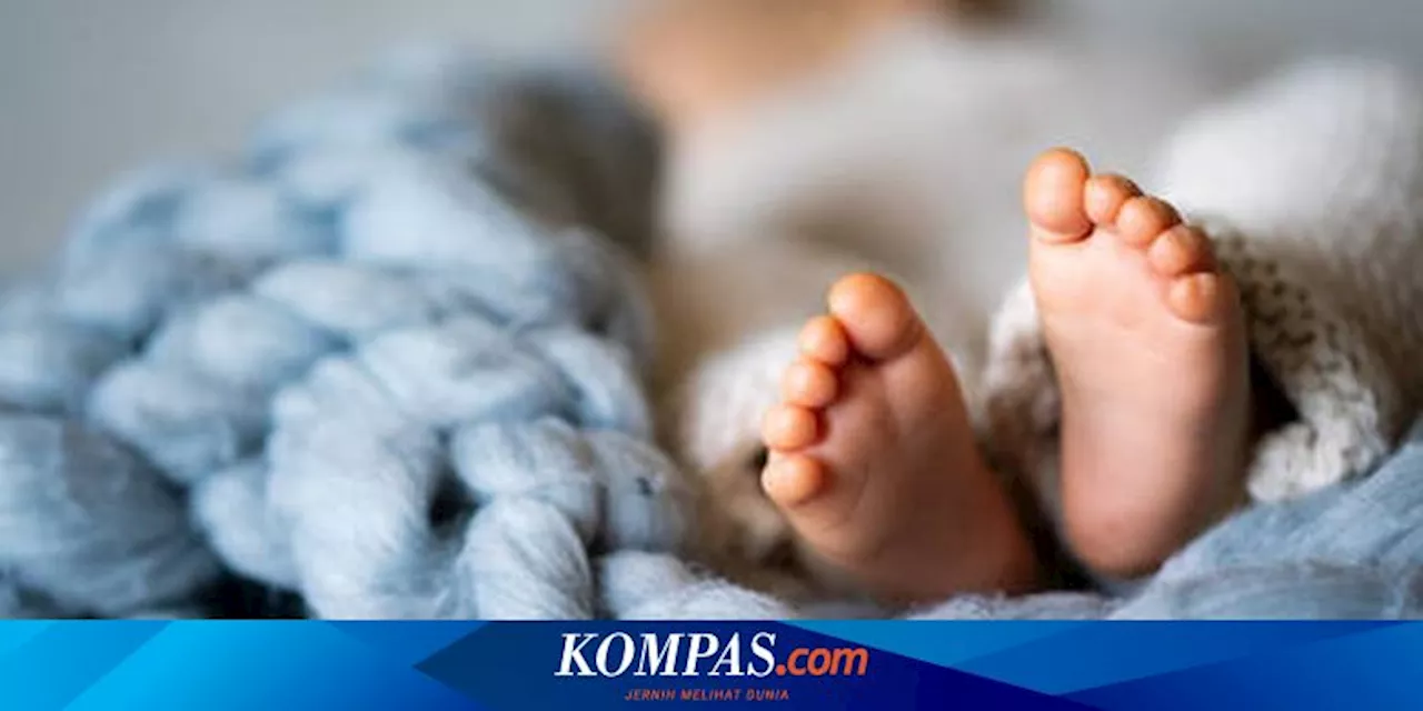 Kisah Pilu Bayi Sebatang Kara di Gaza, Lahir dari Rahim Ibu yang Meninggal Dunia