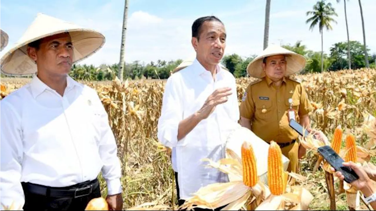 Jokowi: Pemerintah Dukung Proses Transisi dari Pemerintahan Sekarang ke Pemerintahan Baru