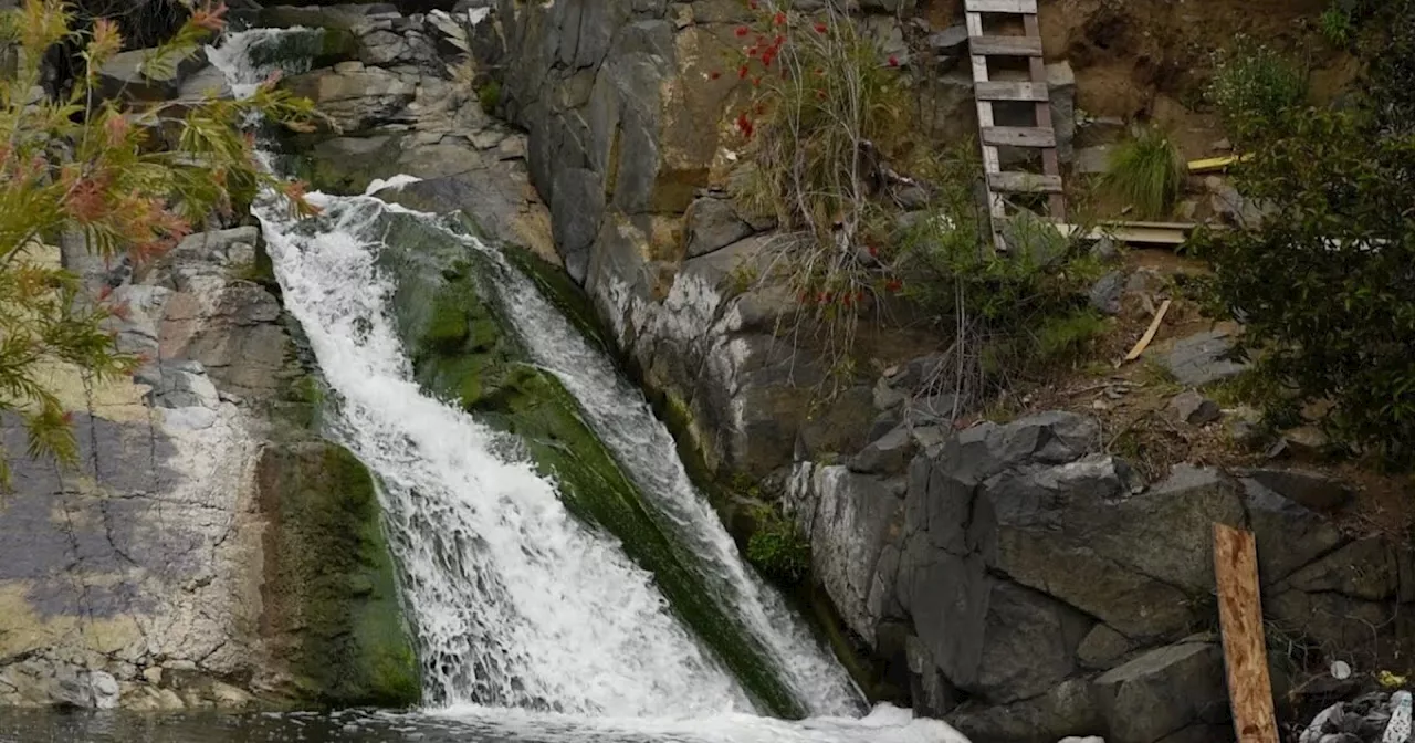 Annual Creek to Bay Cleanup protects sacred sites and local wildlife in Oceanside