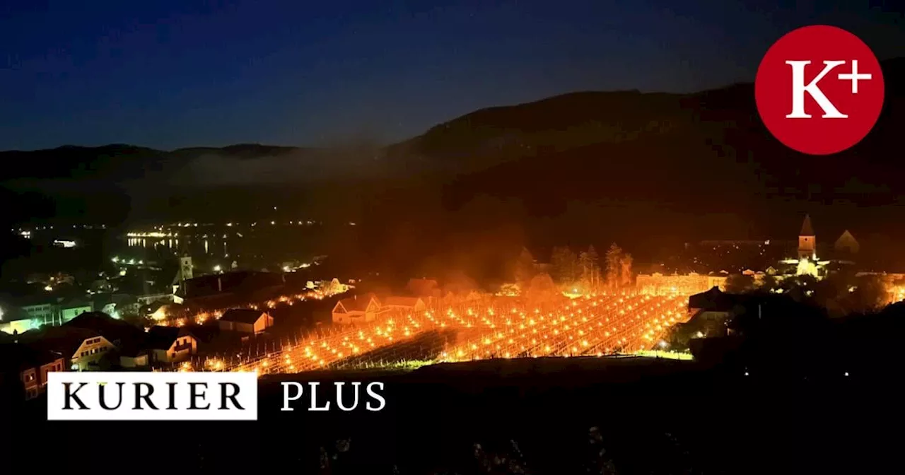 Loderndes Feuer in der Wachau: Warum Winzer nachts die Kerzen anzünden