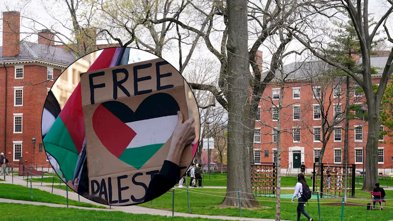 Harvard suspends pro-Palestine student group after unauthorized campus protest