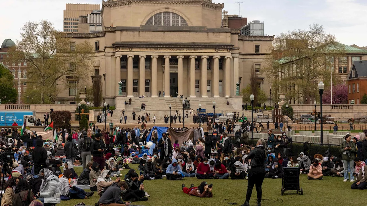 Guerra Israele-Hamas, dilaga la protesta per Gaza: centinaia di fermi nei campus in Usa