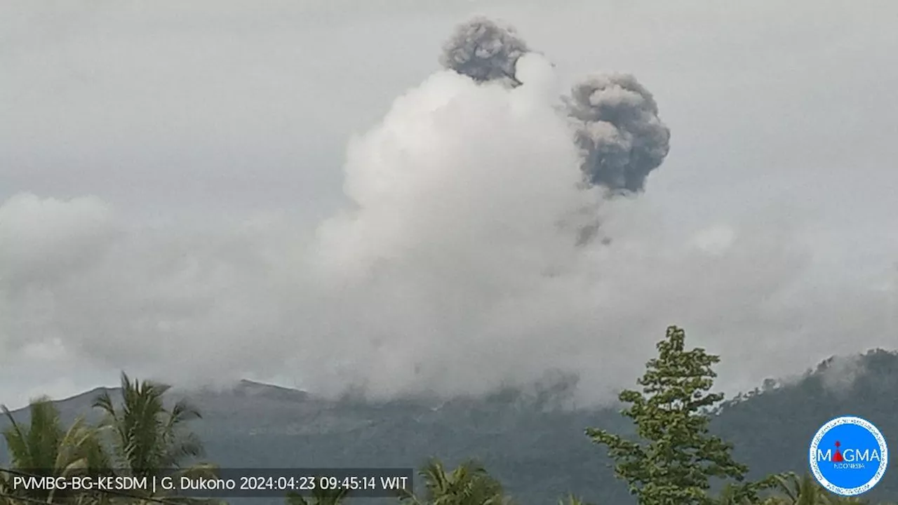 Gunung Dukono di Halmahera Erupsi, Semburkan Abu Vulkanik Setinggi 1.200 Meter