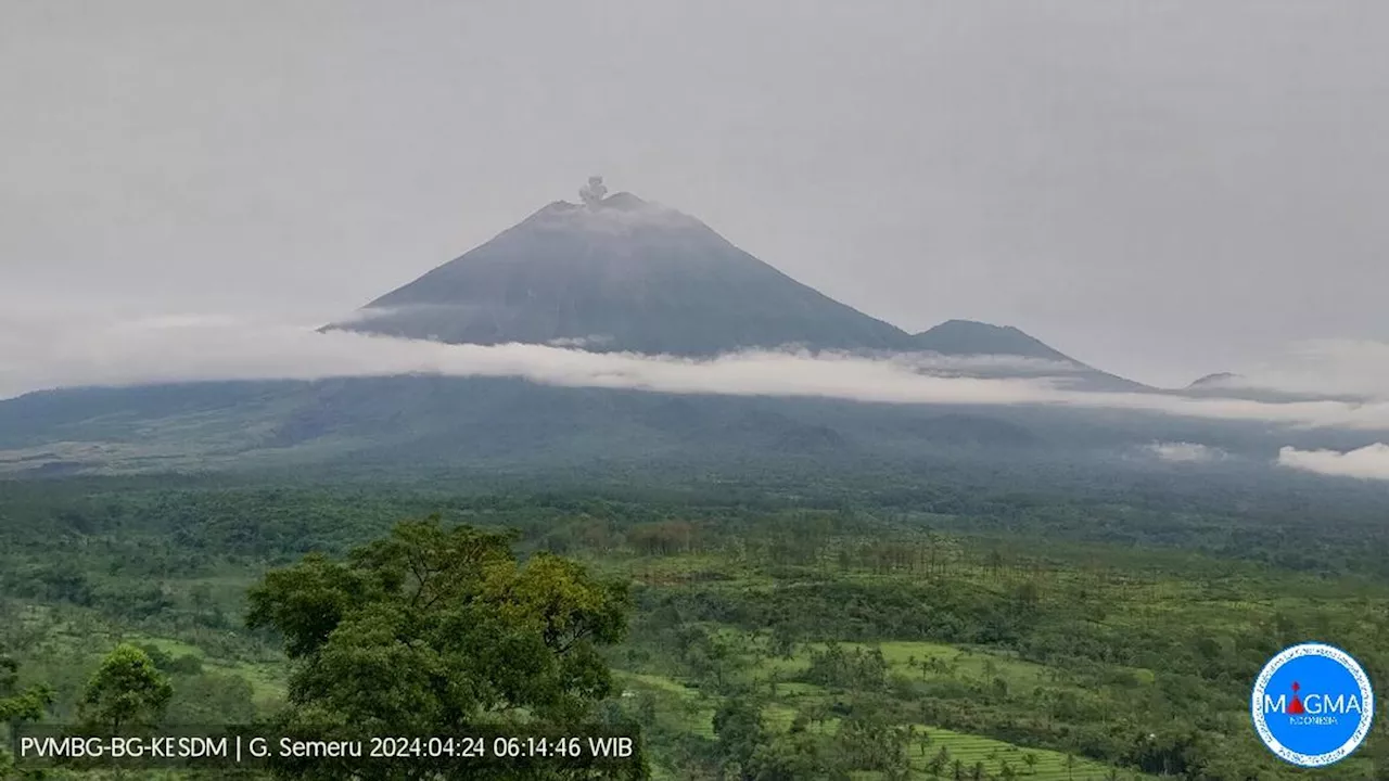 Gunung Semeru Erupsi Rabu Pagi 24 April 2024, Lontarkan Abu Vulkanik 600 Meter