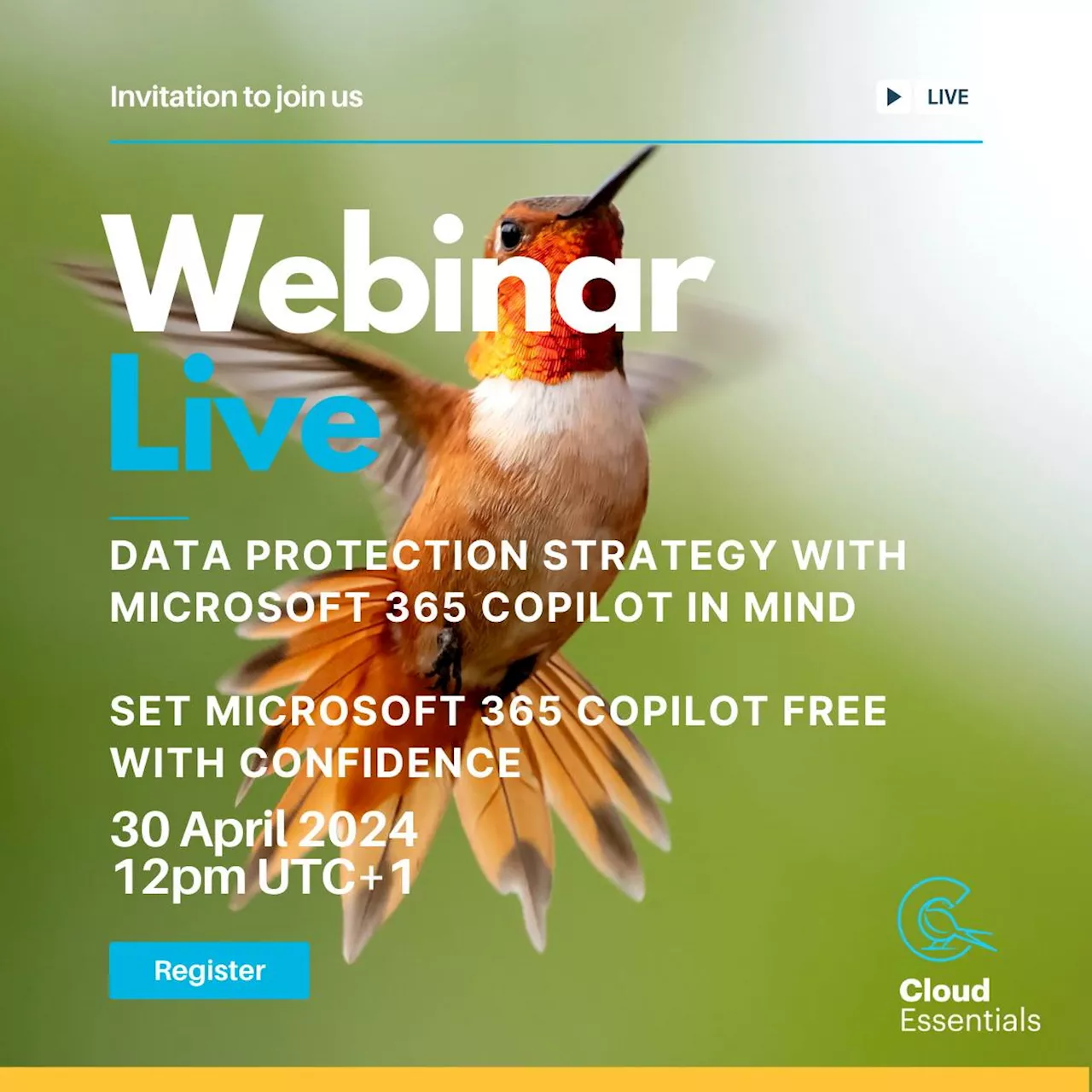 Data protection strategy with Microsoft 365 Copilot in mind