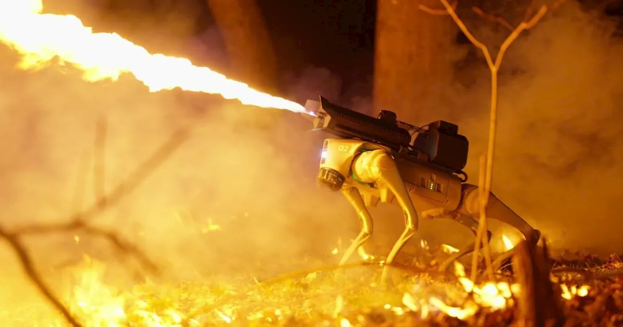 'Thermonator' robot dog proves Americans' idea of self-defence is unhinged