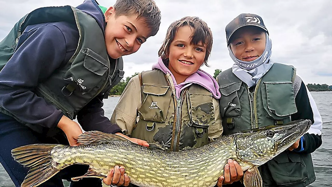 Le brochet fait son retour ce samedi 27 avril, pêcheurs aveyronnais, préparez vos leurres !