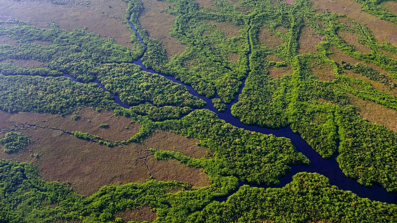 Everything you need to know about Everglades National Park