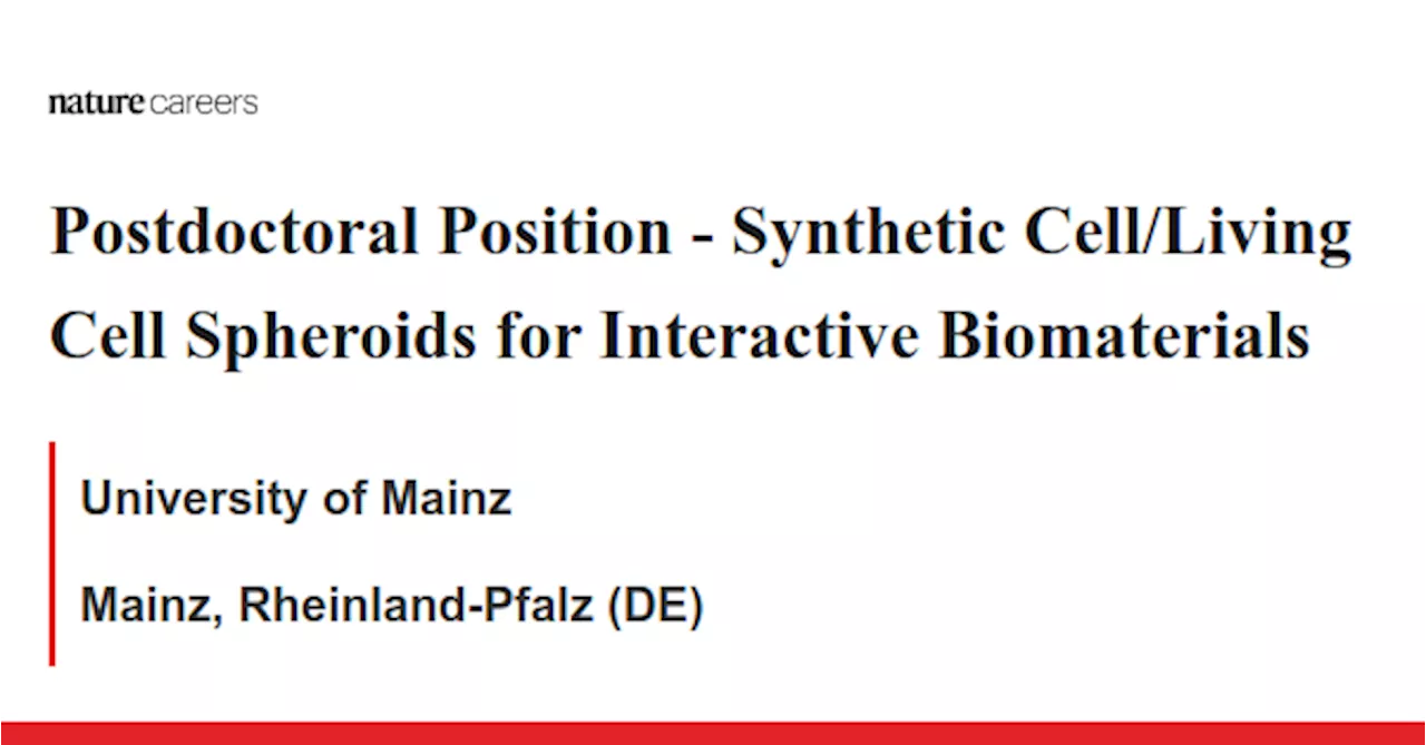 Synthetic Cell/Living Cell Spheroids for Interactive Biomaterials - Mainz, Rheinland-Pfalz (DE) job with University of Mainz