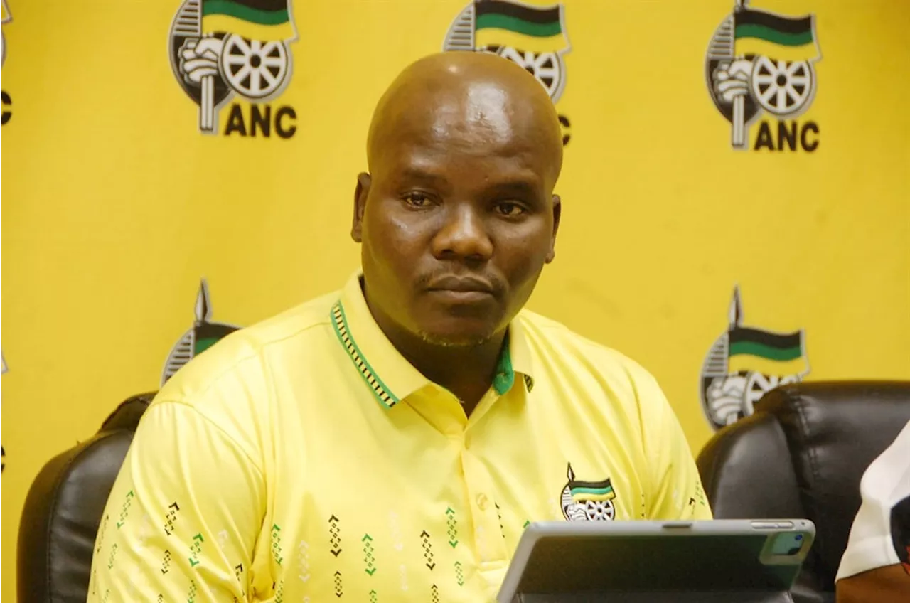 Elections 2024: ANC has to get '13 or 14 million votes to be assured of victory'