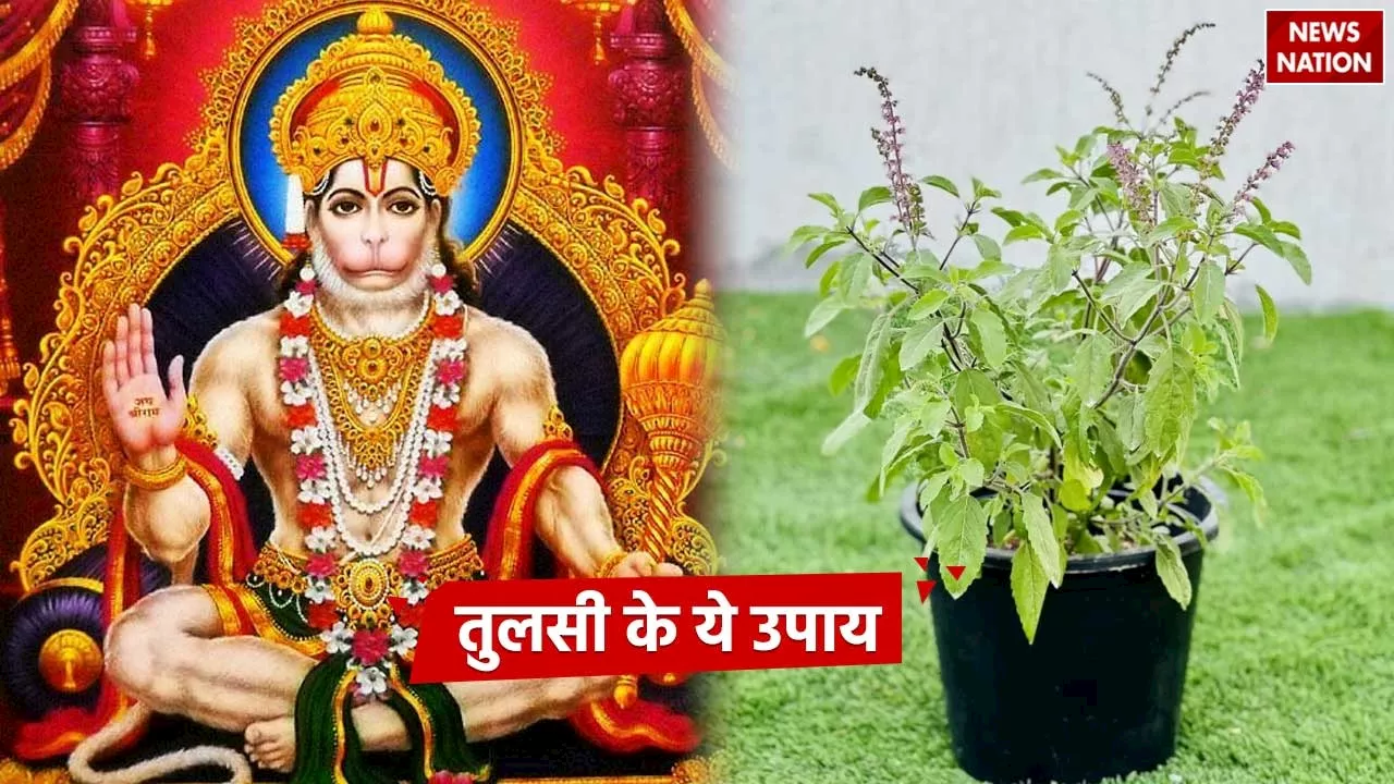 Hanuman Jayanti 2024: हनुमान जयंती के दिन करें तुलसी के ये उपाय, आर्थिक स्थिति होगी मजबूत