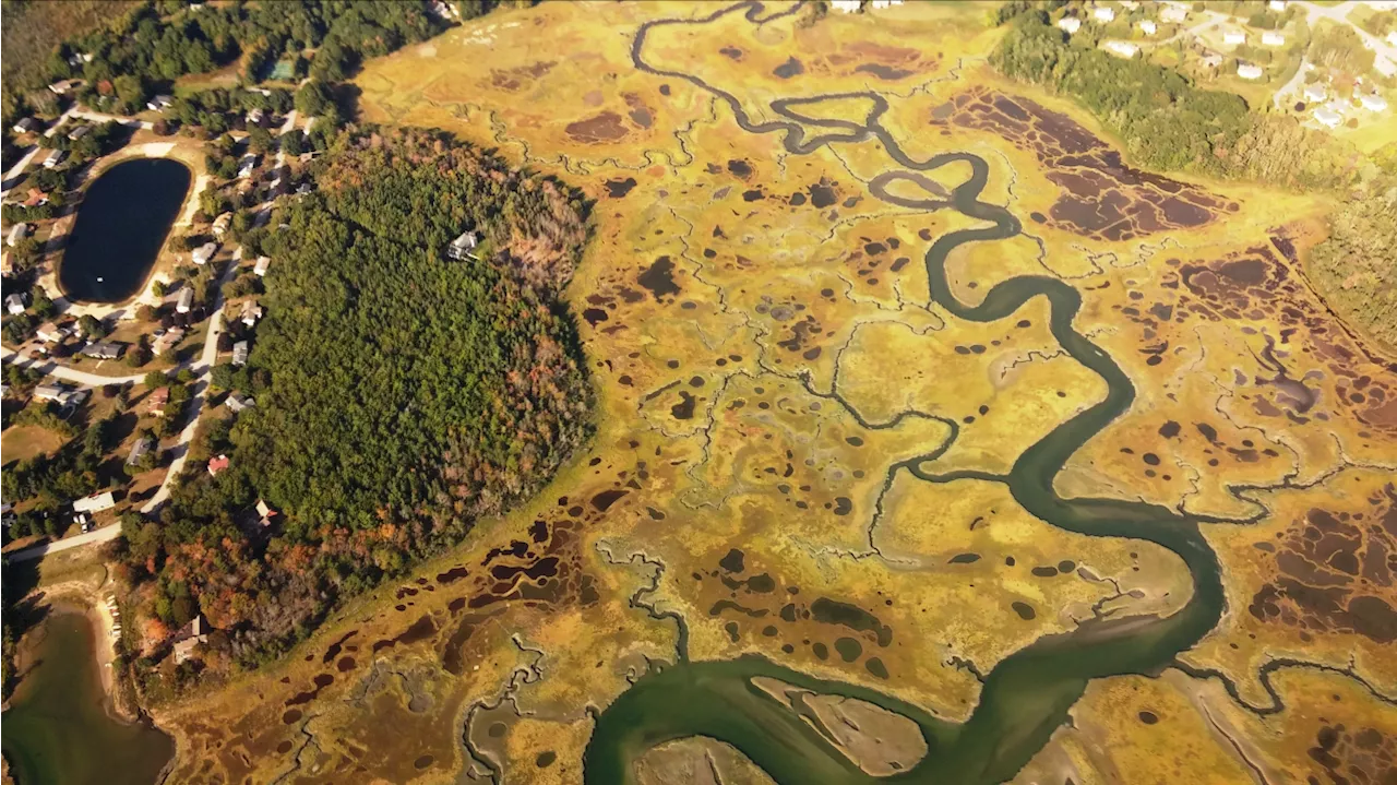 Biden-Harris Administration announces $123 million for coastal habitat restoration through Investing in America agenda