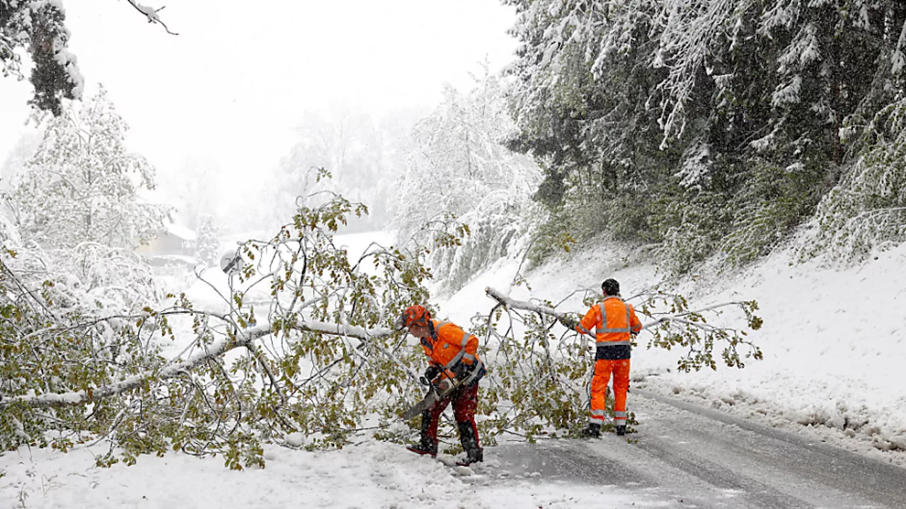 Schneebedingt waren 3.500 steirische Haushalte ohne Strom