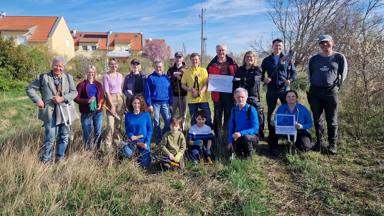 Ziegen werden bald in Pfaffstätten neben Kanal weiden