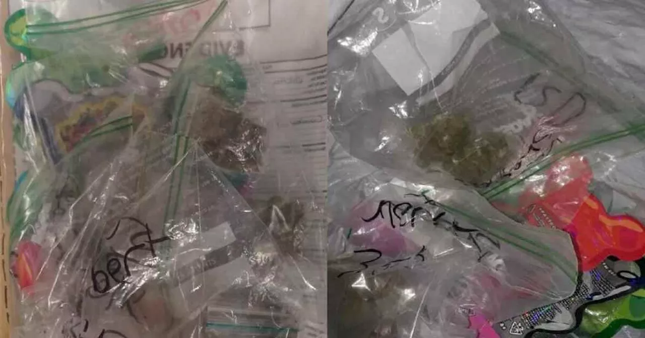 Bags of cannabis found by police pulling over car in Nottingham