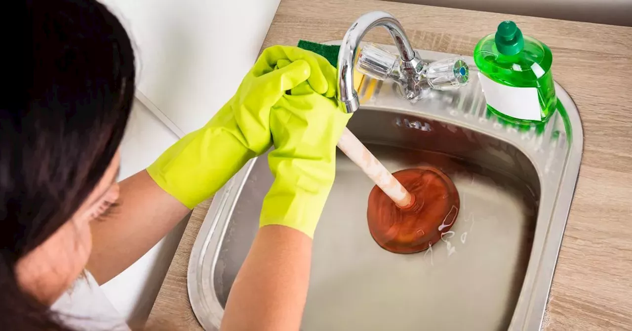 Home expert says 51p hack 'unblocks drains and banishes smells'