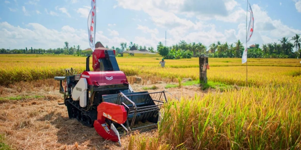 Mentan: Petani Kalau Untung akan Berproduksi, Kalau Rugi akan Berhenti Menanam