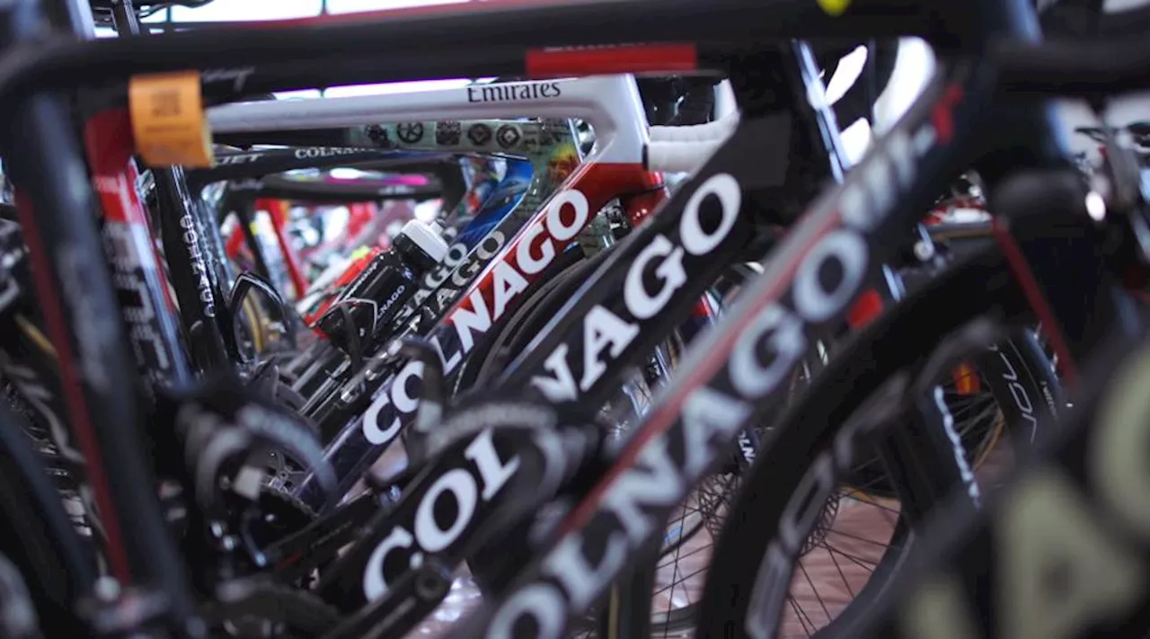 Business booming at Colnago since Abu Dhabi investment, bike brand states — with sales "more than tripled"