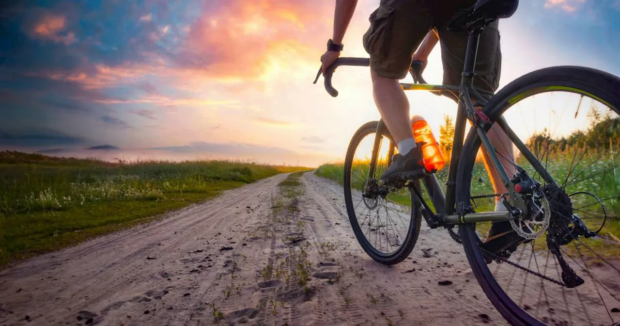 Gravelbikes im Trend: Das müssen Sie zum 'Fahrrad für alle Fälle​' wissen