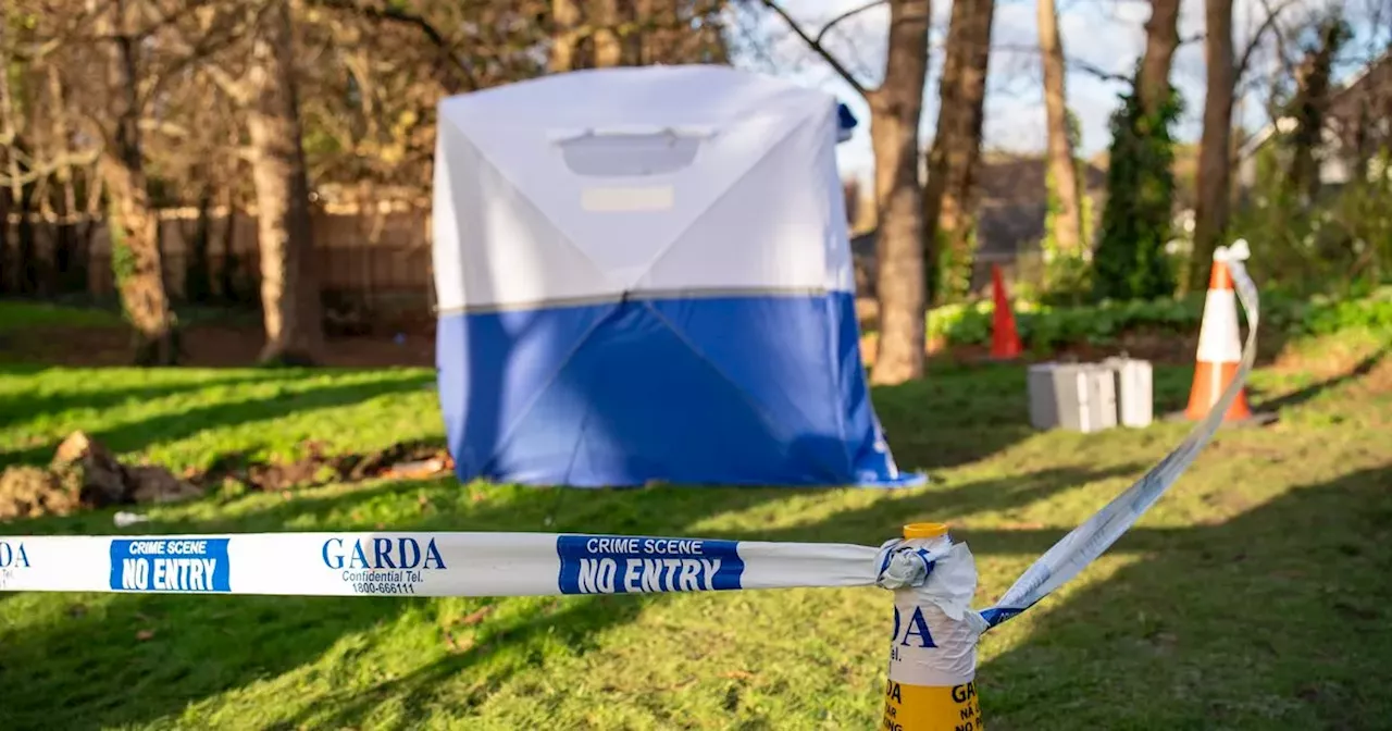 Body found in Fair City garden being treated as murder as Gardai find evidence