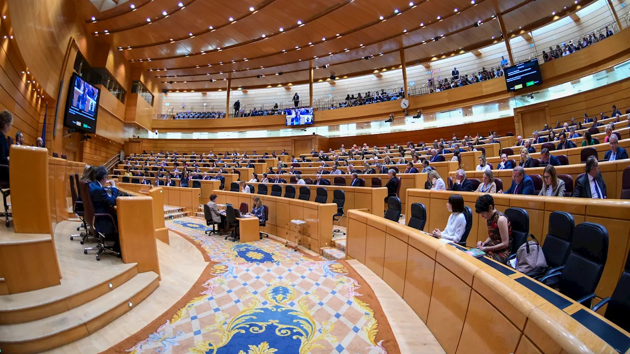 Los letrados del Senado aconsejan al PP acudir al TC por el choque con el Congreso por la tramitación de la amnistía