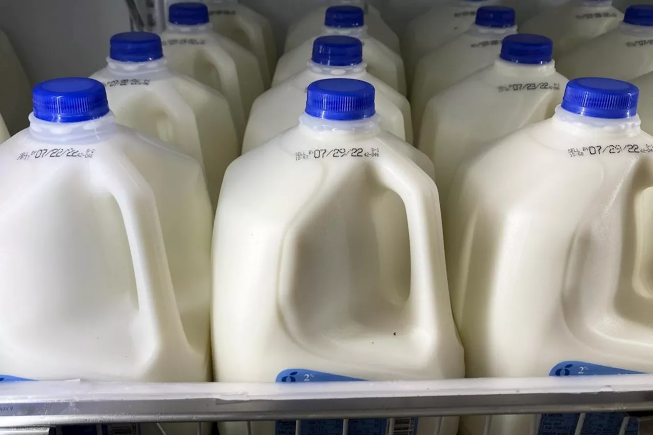 B.C. to increase local milk production with $25-million factory investment