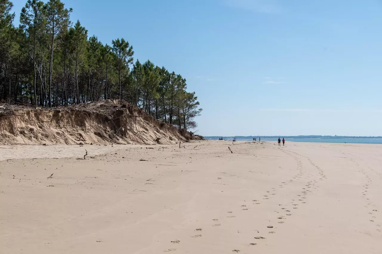 Île d’Oléron : l’exhibitionniste compulsif passera l’été loin des plages