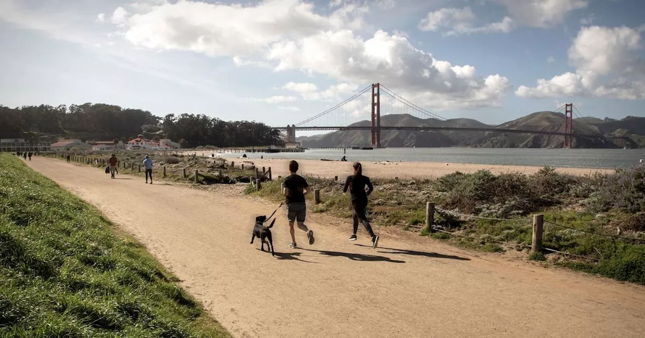 San Francisco mit ehrenamtlichen Guides entdecken