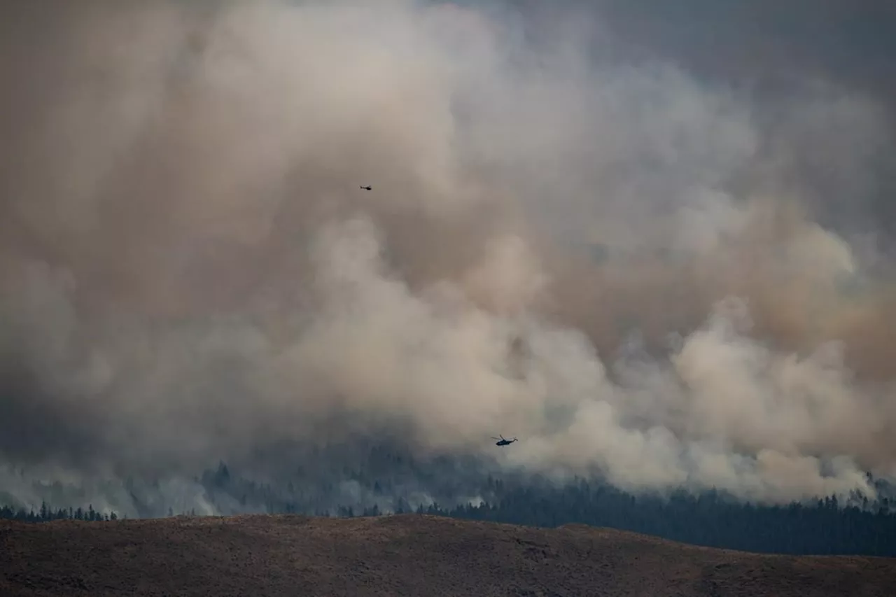 'Trees going up like Roman candles' as fire season starts early in B.C., Alberta