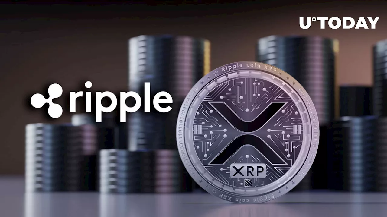 Ripple CLO Speaks out Against $2 Billion Penalty in XRP Case