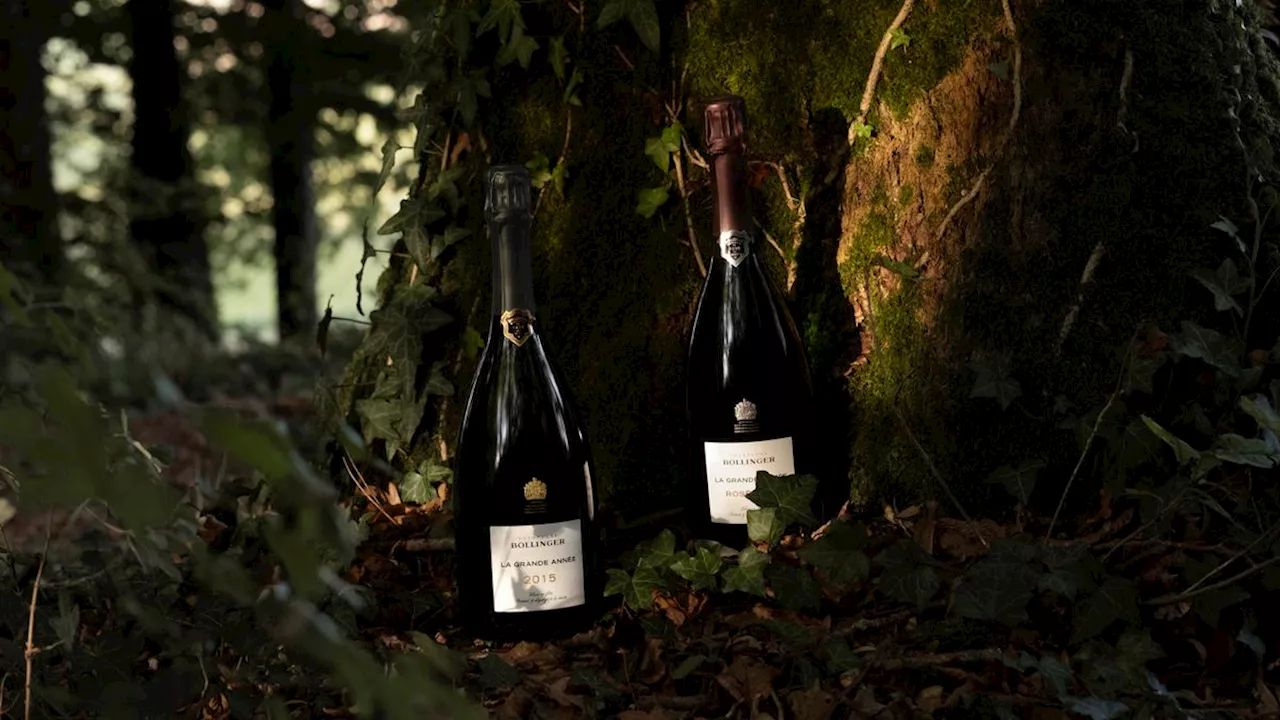 Why Bollinger’s La Grande Année 2015 champagne is worth celebrating