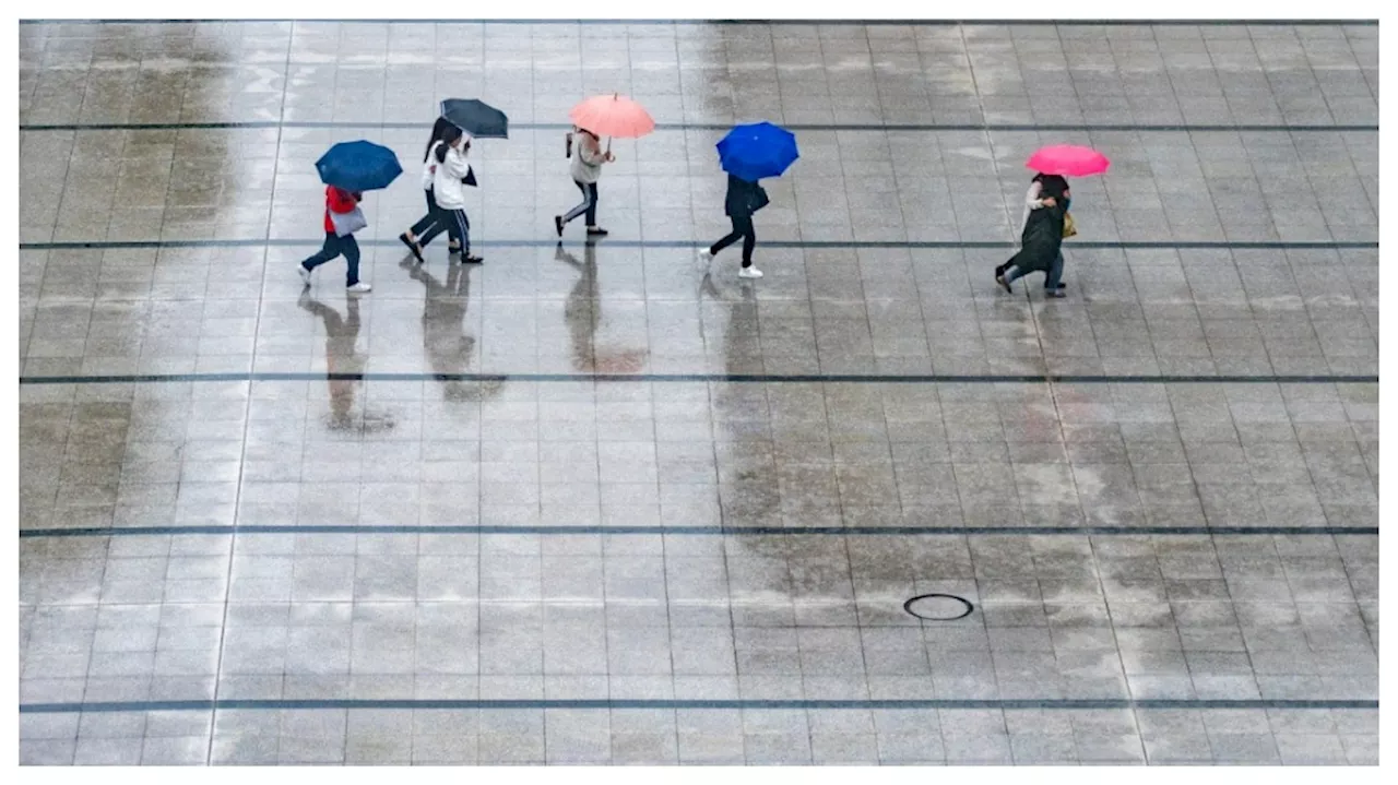 Weather Forecast: వాతావరణశాఖ అలెర్ట్‌.. రెండురోజులపాటు రాష్ట్రవ్యాప్తంగా తేలికపాటి వర్షాలు..