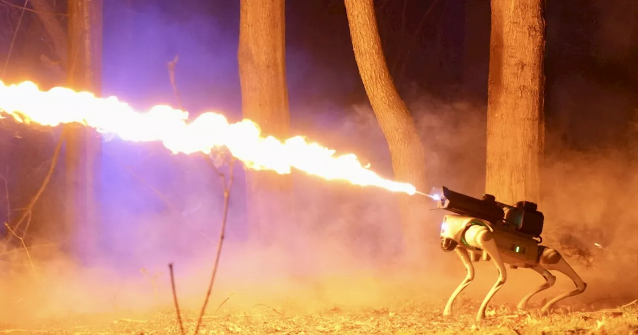 Meet Thermonator, a robotic dog equipped with a flamethrower