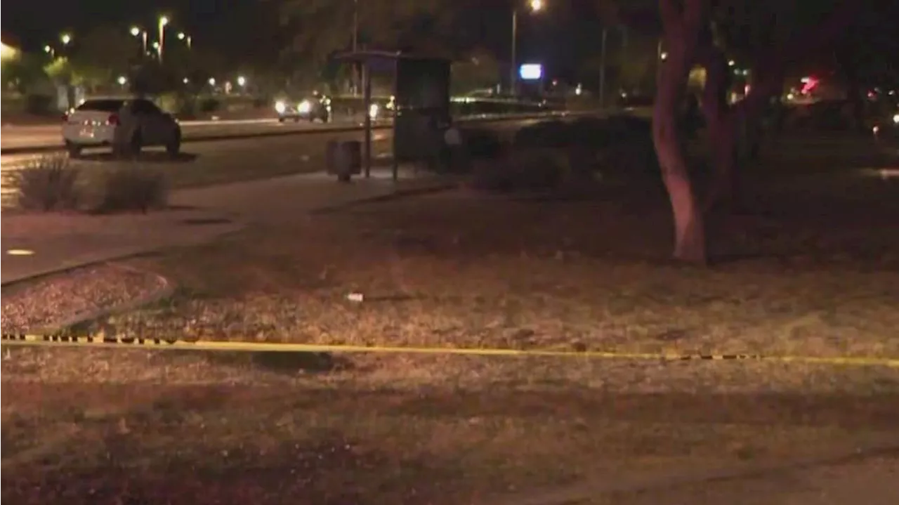 Man dies after being stabbed in south Phoenix