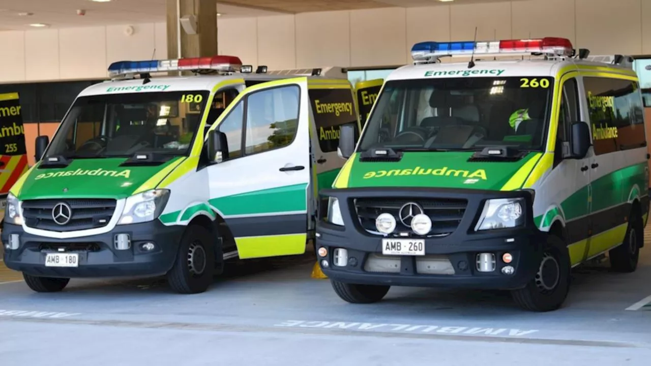 South Australian paramedics allegedly held at gunpoint while supporting patient in Adelaide