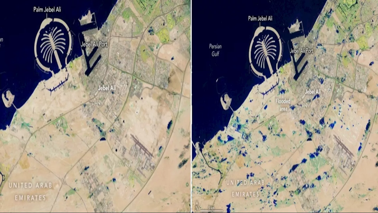 बाढ़ से कैसे उजड़ी Dubai की खूबसूरती, NASA ने शेयर की पहले और बाद की सैटेलाइट इमेज