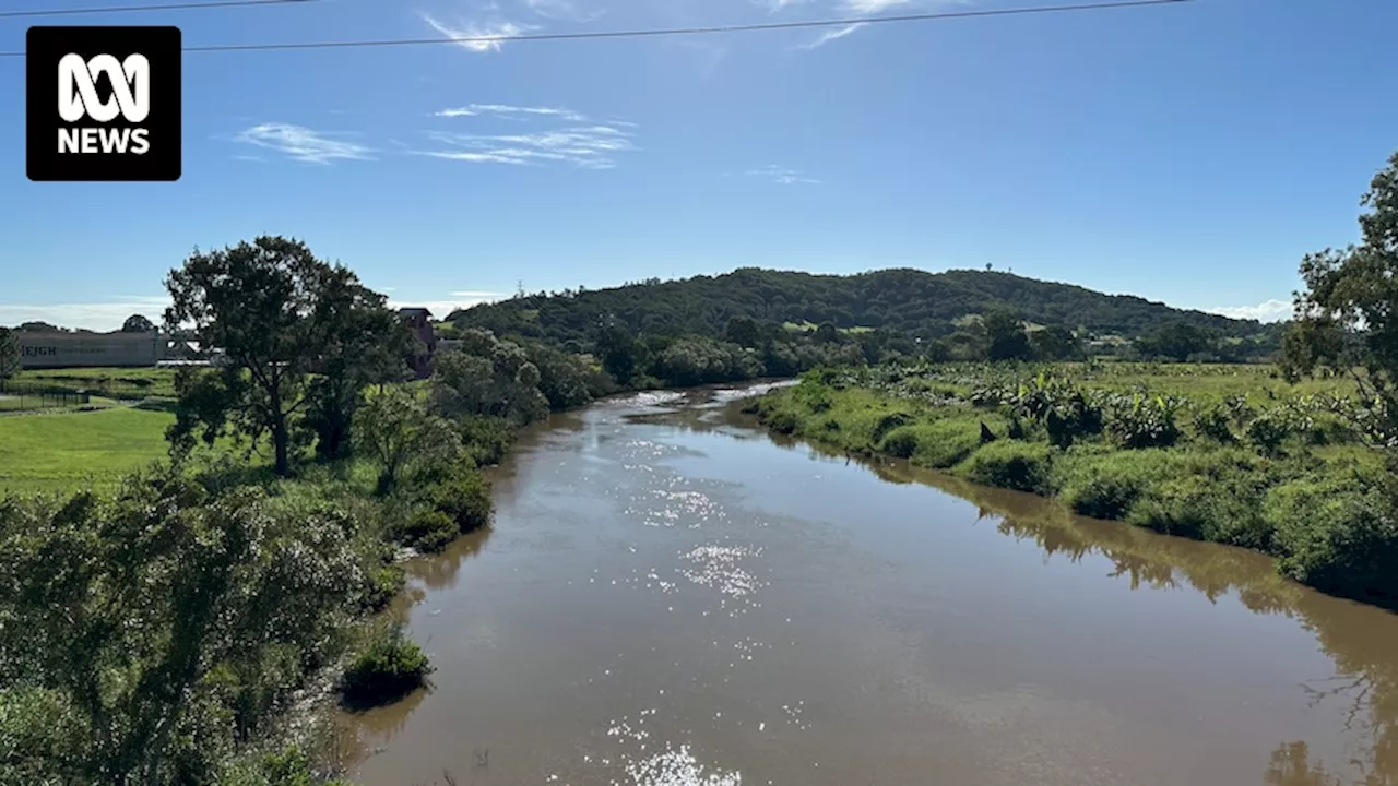 Gold Coast City Council under investigation after major sewage spill into Albert River