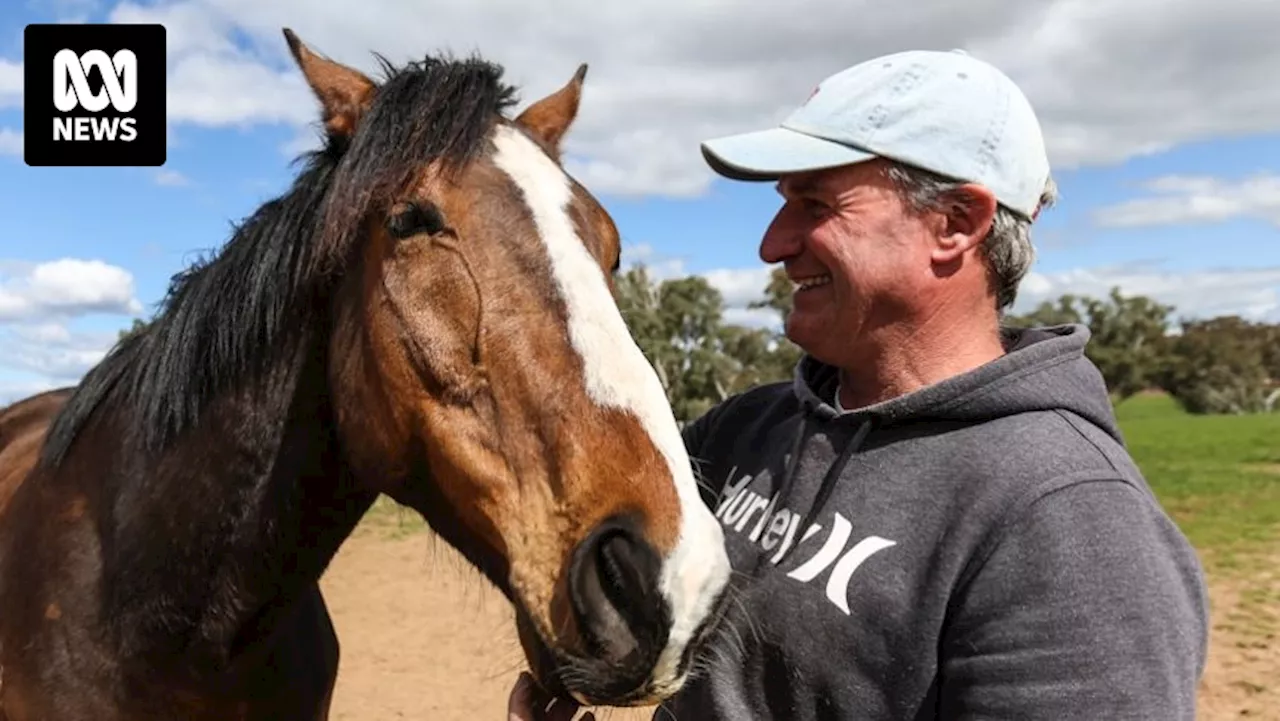 Melbourne-Cup-winning horse trainer Darren Weir cleared of corruption allegations