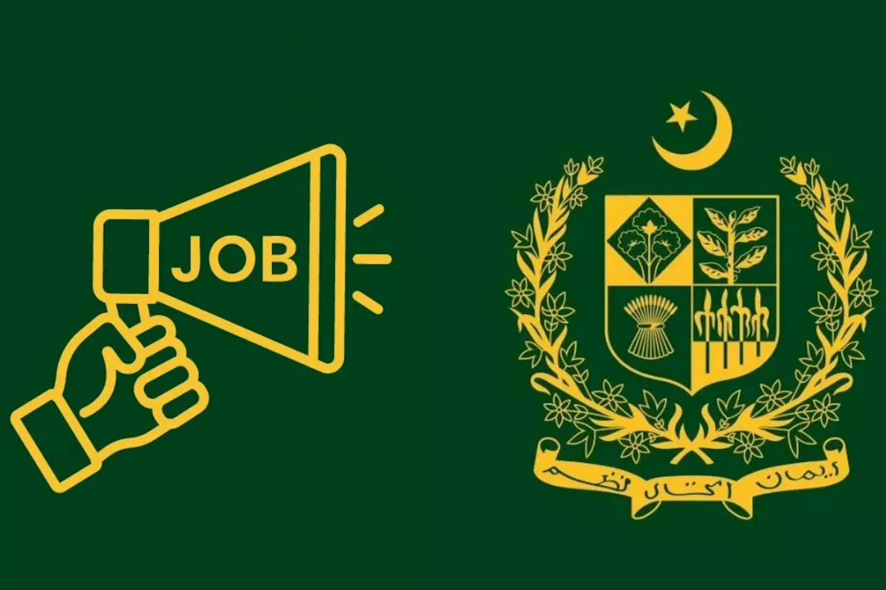 New government jobs in 2024 across different ministries; learn more inside