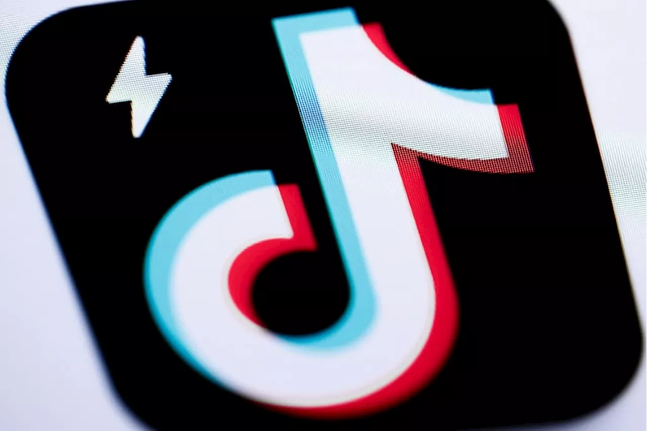 TikTok suspends rewards programme after EU probe