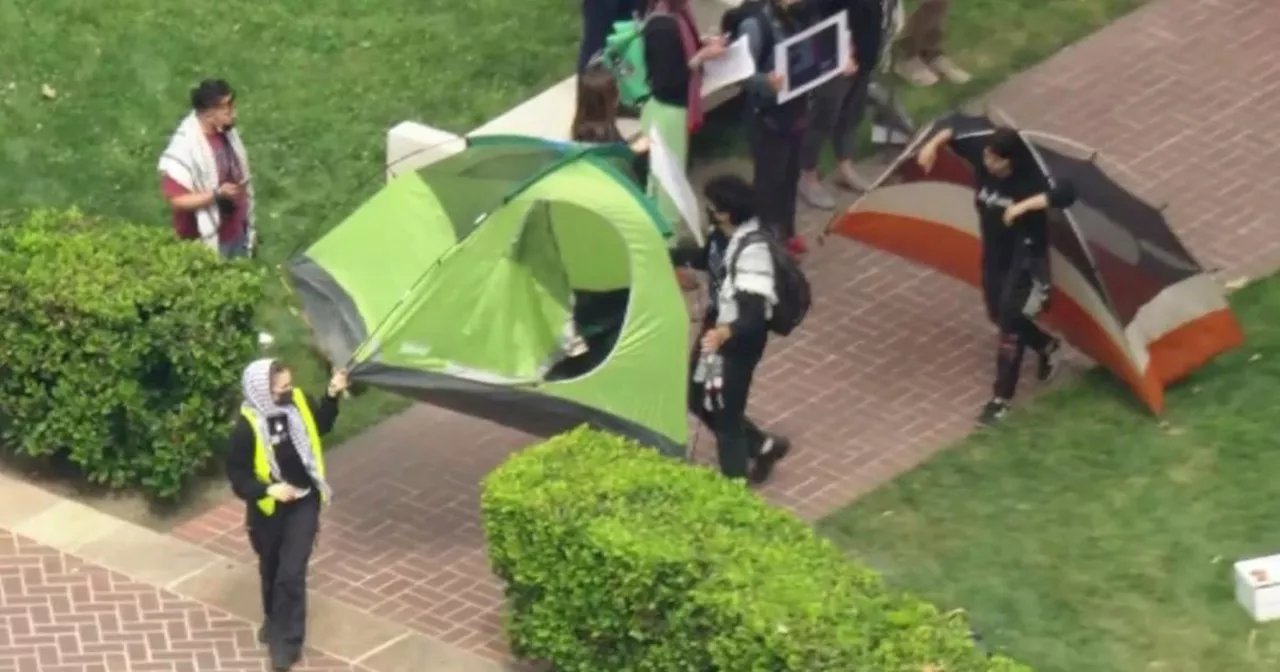 Pro-Palestinian protesters at USC's Alumni Park are forced to clear tents by campus police