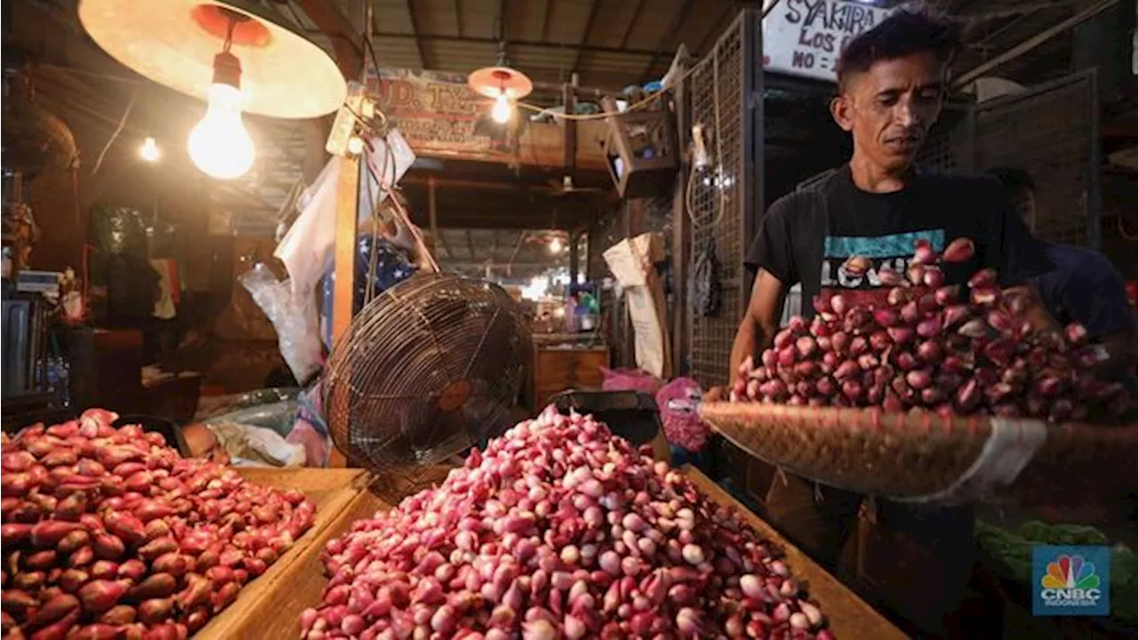 Brebes Banjir, Bawang Merah Bima Siap Jadi Juru Selamat Redam Harga