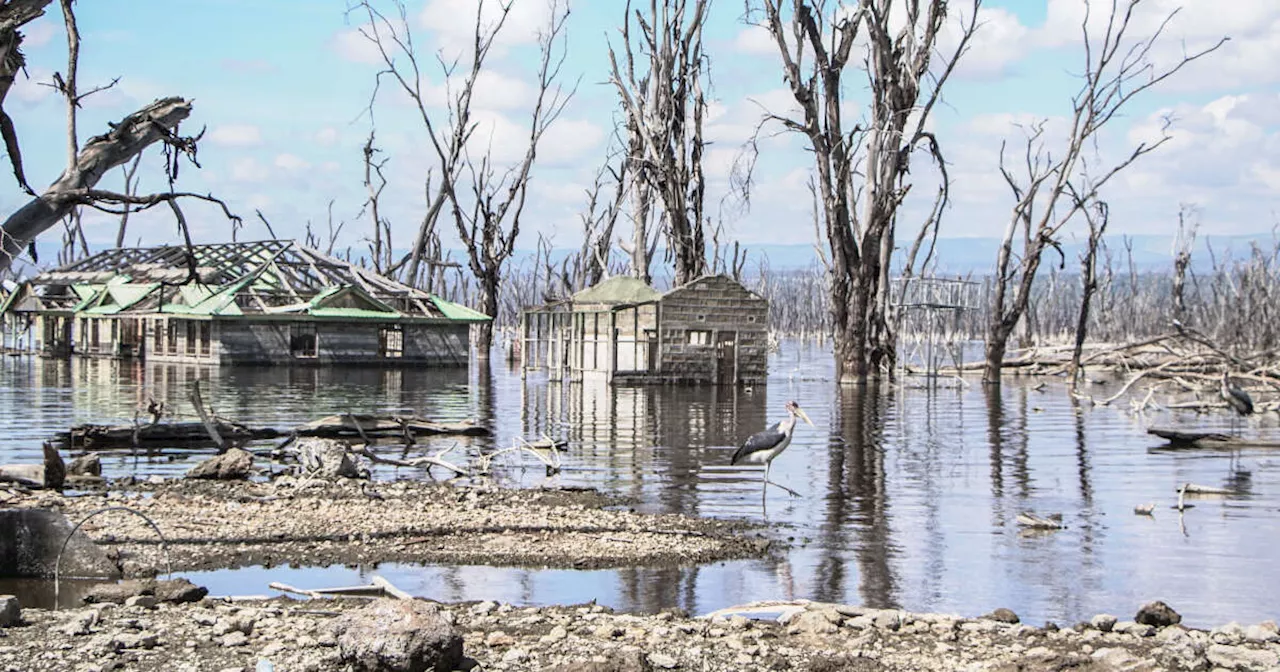 Les inondations font 38 morts au Kenya, et “les pluies vont continuer”