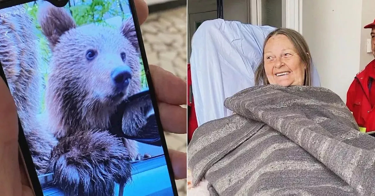 Scots tourist mauled by bear in Romania 'saved by M&S coat'